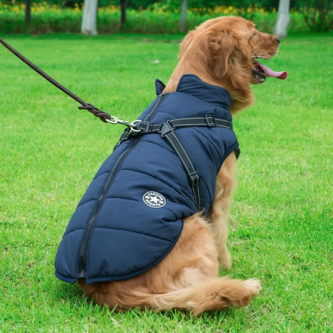 Large Pet Vest with Harness